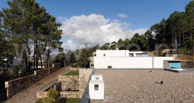 Lote  Caminha, Venade e Azevedo - 1460626 - 8