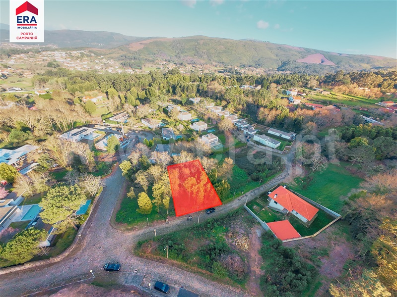 Lote  Caminha, Venade e Azevedo - 1460626 - 13