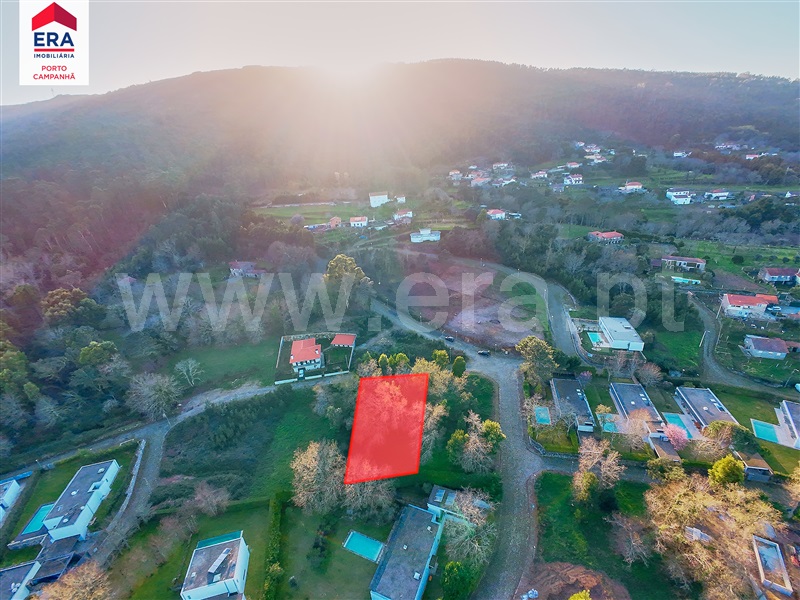 Lote  Caminha, Venade e Azevedo - 1460626 - 14