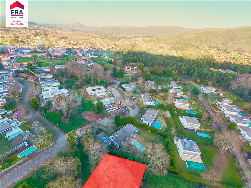 Lote  Caminha, Venade e Azevedo - 1460626 - 18