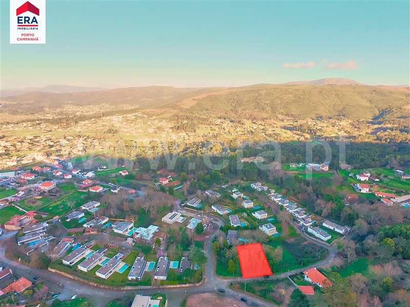 Lote  Caminha, Venade e Azevedo - 1460626 - 19