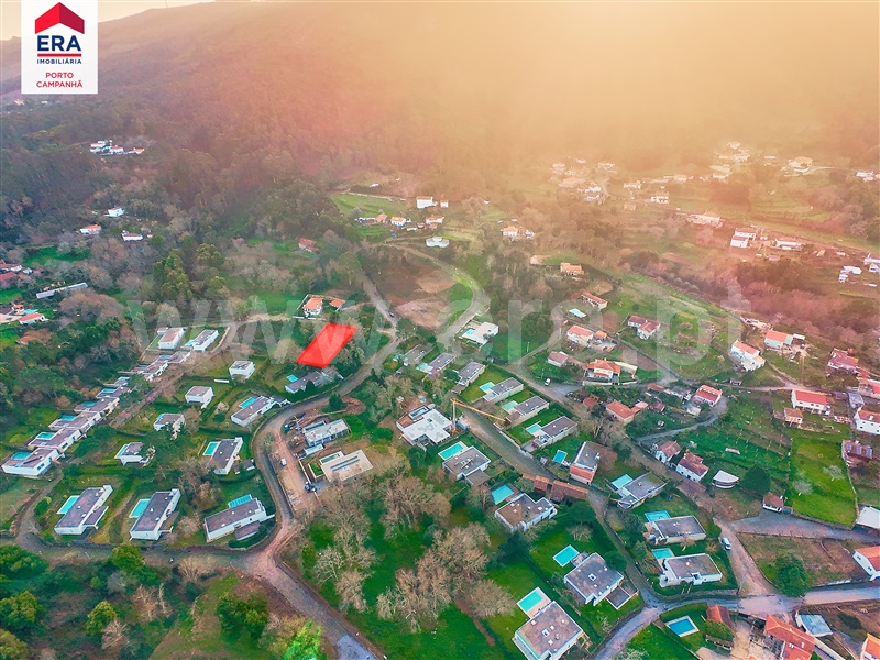 Lote  Caminha, Venade e Azevedo - 1460626 - 21