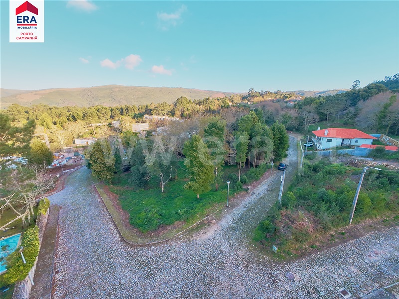 Lote  Caminha, Venade e Azevedo - 1460626 - 24