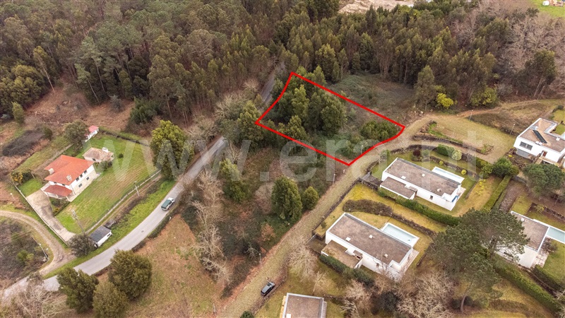 Lote  Caminha, Venade e Azevedo - 1461143 - 3