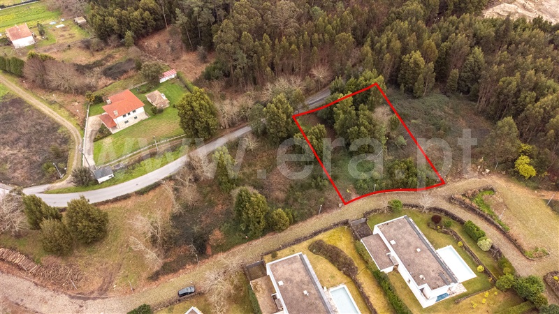 Lote  Caminha, Venade e Azevedo - 1461143 - 4