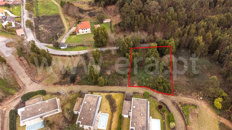 Lote  Caminha, Venade e Azevedo - 1461143 - 5