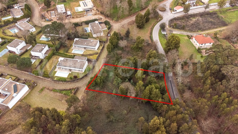 Lote / Caminha, Venade e Azevedo