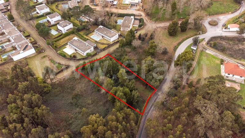 Lote  Caminha, Venade e Azevedo - 1461143 - 8