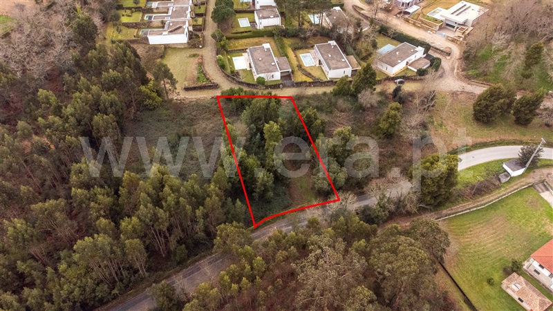 Lote  Caminha, Venade e Azevedo - 1461143 - 9
