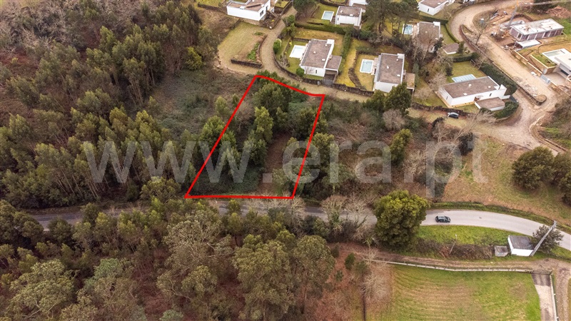 Lote  Caminha, Venade e Azevedo - 1461143 - 10