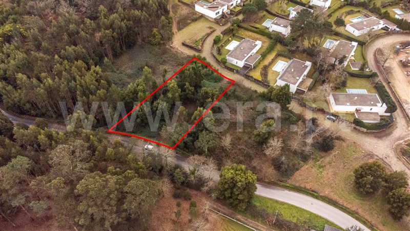 Lote  Caminha, Venade e Azevedo - 1461143 - 11
