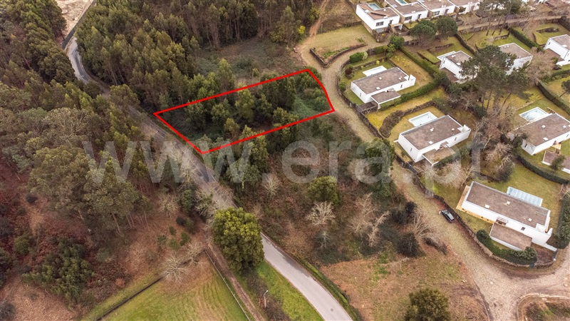 Lote  Caminha, Venade e Azevedo - 1461143 - 12