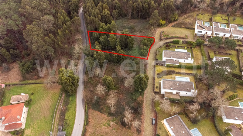 Lote  Caminha, Venade e Azevedo - 1461143 - 13