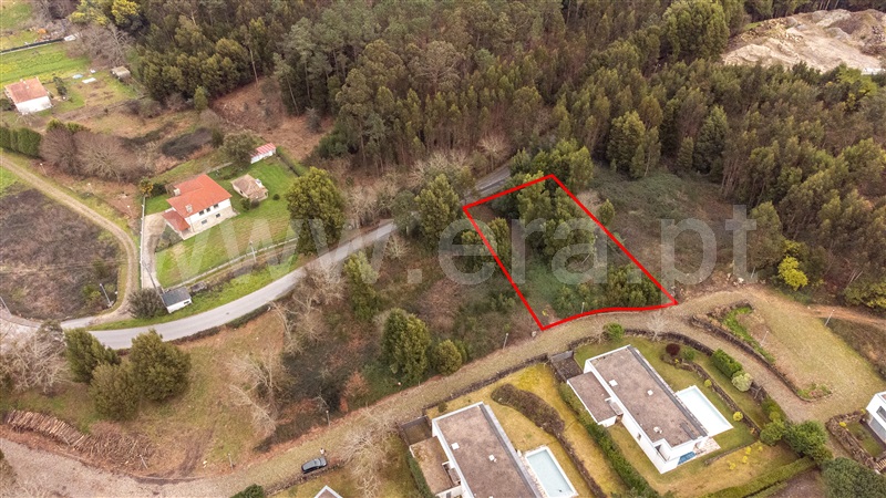 Lote  Caminha, Venade e Azevedo - 1461143 - 14