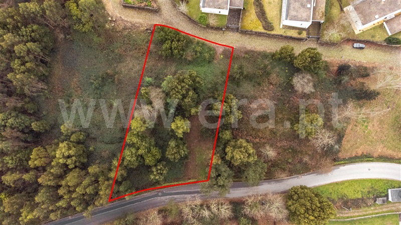 Lote  Caminha, Venade e Azevedo - 1461143 - 16