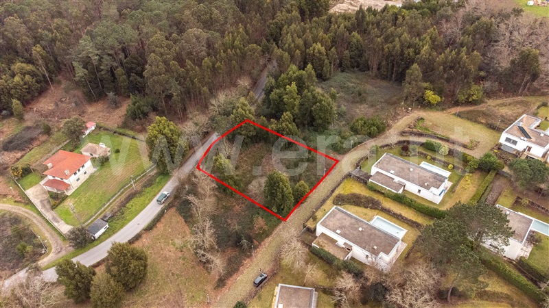 Lote  Caminha, Venade e Azevedo - 1461144 - 3