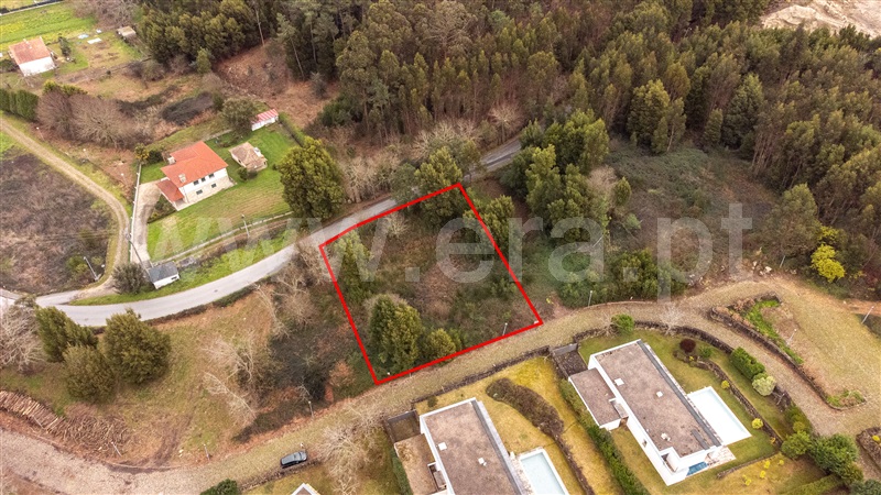 Lote  Caminha, Venade e Azevedo - 1461144 - 4