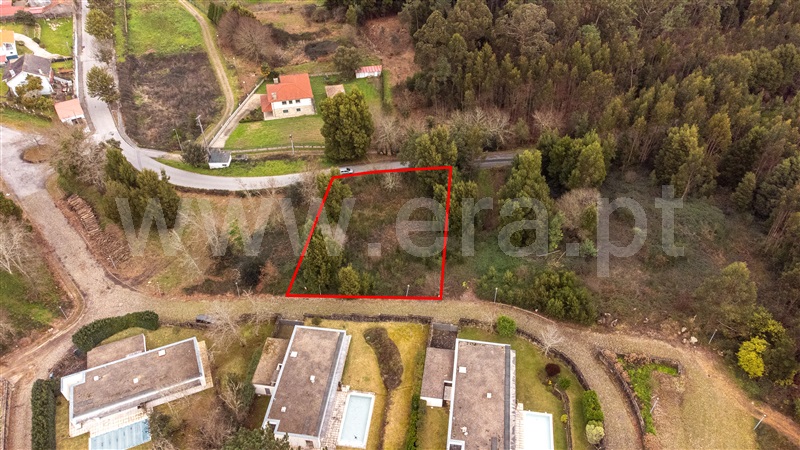 Lote  Caminha, Venade e Azevedo - 1461144 - 5