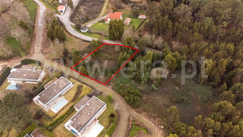 Lote  Caminha, Venade e Azevedo - 1461144 - 6