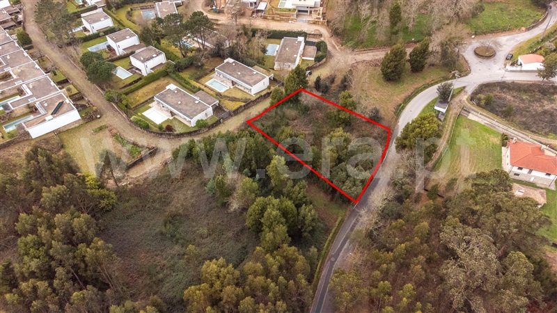 Lote  Caminha, Venade e Azevedo - 1461144 - 8