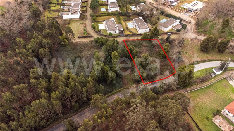 Lote  Caminha, Venade e Azevedo - 1461144 - 9