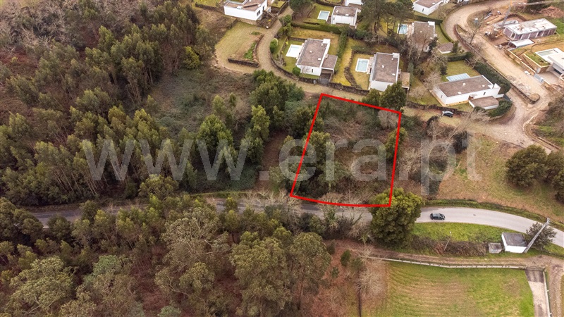 Lote  Caminha, Venade e Azevedo - 1461144 - 10