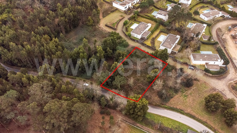 Lote  Caminha, Venade e Azevedo - 1461144 - 11