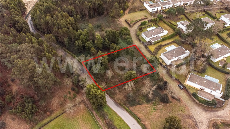 Lote  Caminha, Venade e Azevedo - 1461144 - 12