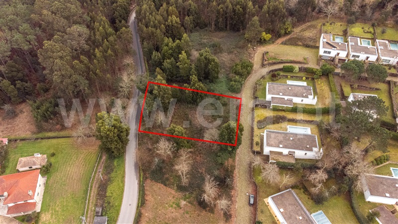 Lote  Caminha, Venade e Azevedo - 1461144 - 13