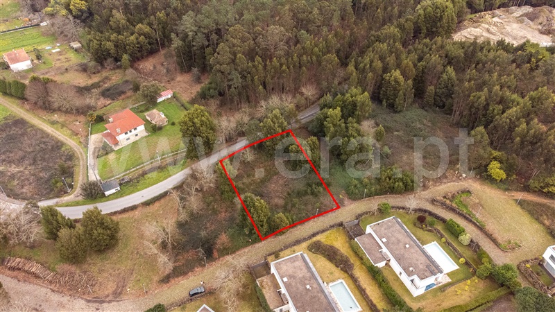 Lote  Caminha, Venade e Azevedo - 1461144 - 14