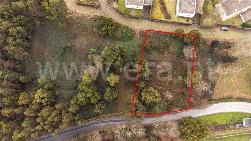 Lote / Caminha, Venade e Azevedo