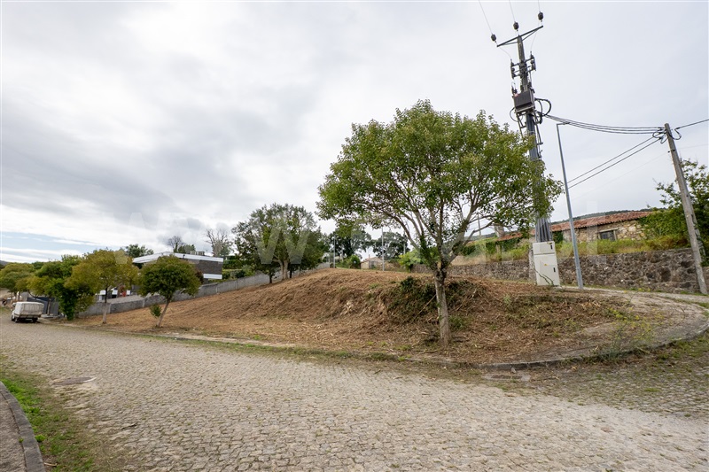 Lote  Caminha, Venade e Azevedo - 1502901 - 2