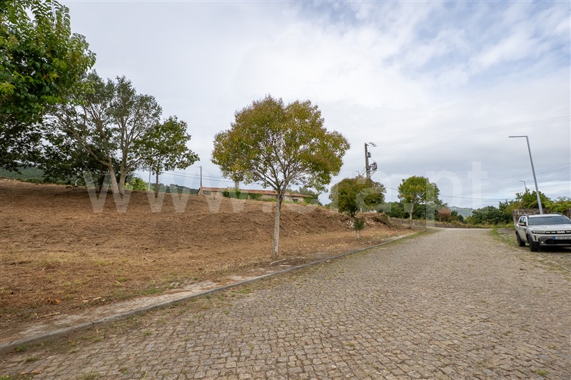 Lote  Caminha, Venade e Azevedo - 1502901 - 3