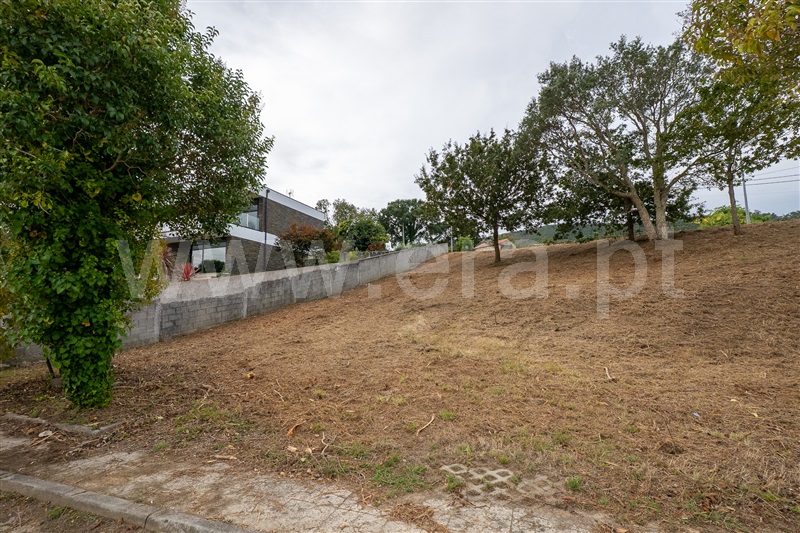 Lote  Caminha, Venade e Azevedo - 1502901 - 4