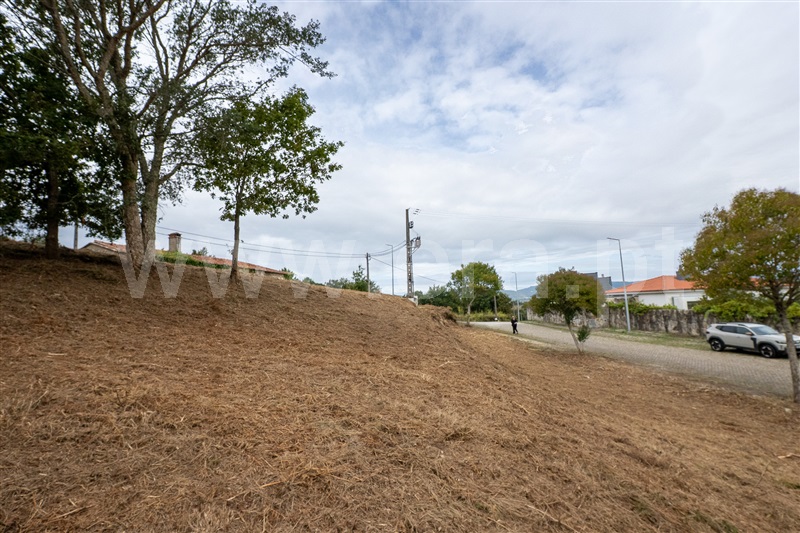 Lote  Caminha, Venade e Azevedo - 1502901 - 5