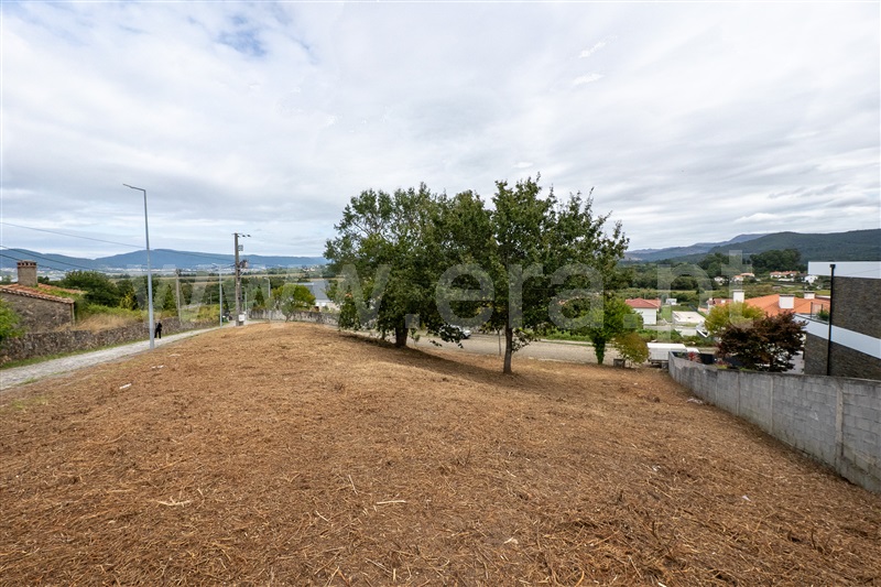 Lote  Caminha, Venade e Azevedo - 1502901 - 6