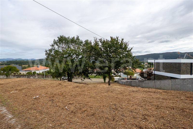 Lote  Caminha, Venade e Azevedo - 1502901 - 7