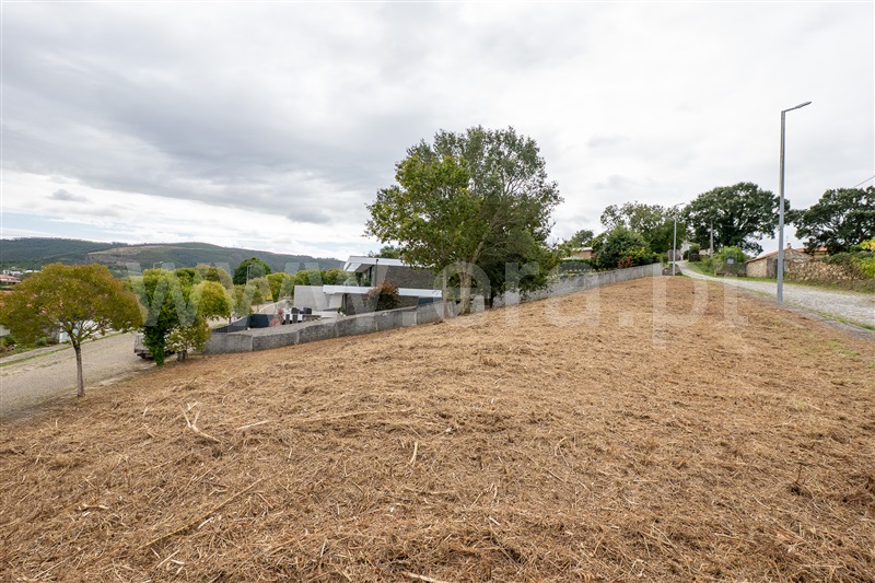 Lote  Caminha, Venade e Azevedo - 1502901 - 8