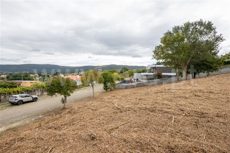 Lote  Caminha, Venade e Azevedo - 1502901 - 9