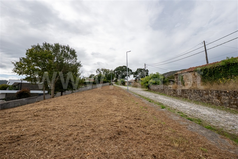 Lote  Caminha, Venade e Azevedo - 1502901 - 10