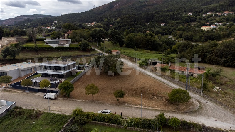 Lote  Caminha, Venade e Azevedo - 1502901 - 11