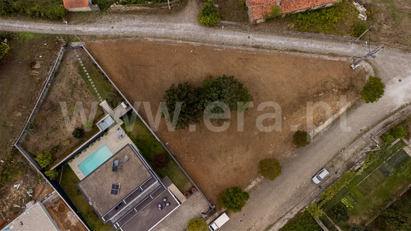 Lote  Caminha, Venade e Azevedo - 1502901 - 15