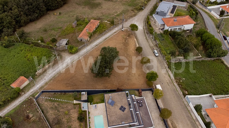 Lote  Caminha, Venade e Azevedo - 1502901 - 21