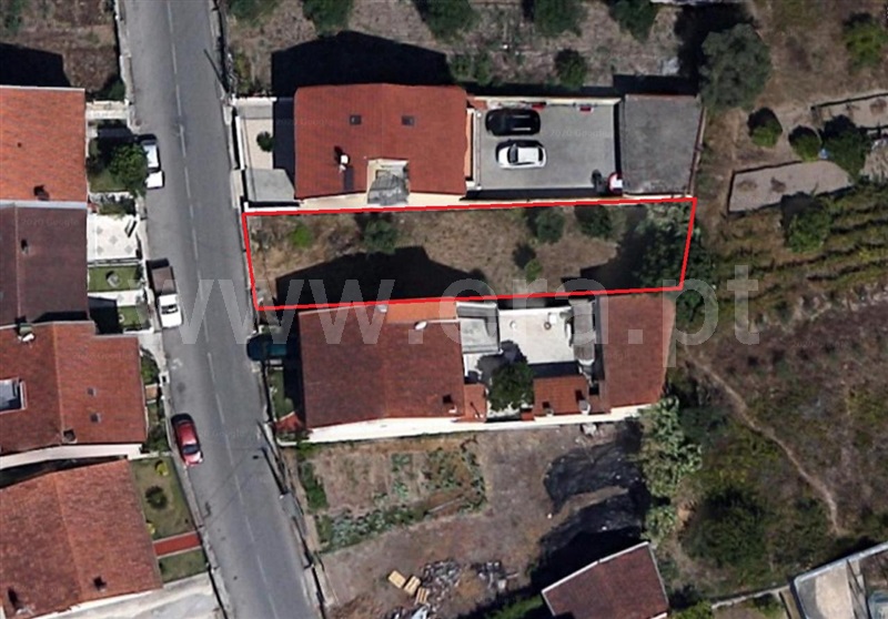 Lote / Cantanhede, Ançã