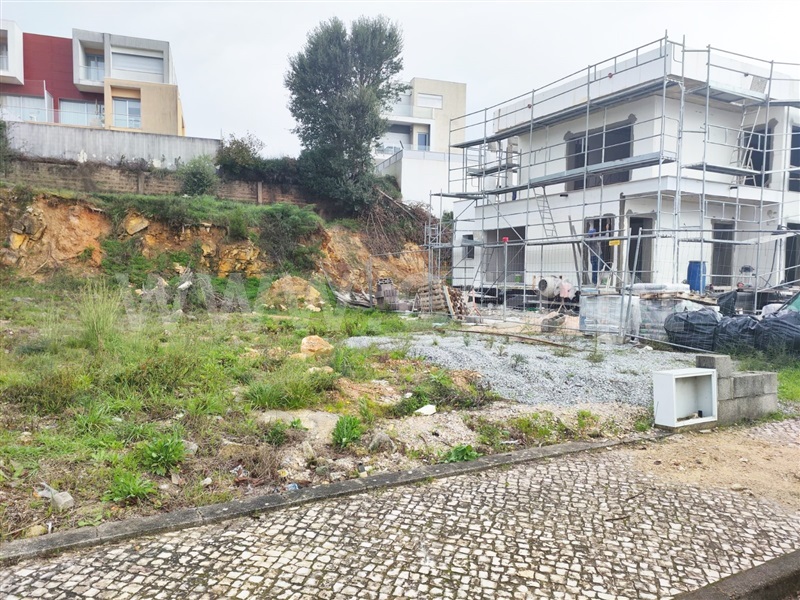 Lote  Cantanhede, Ançã - 1366503 - 2