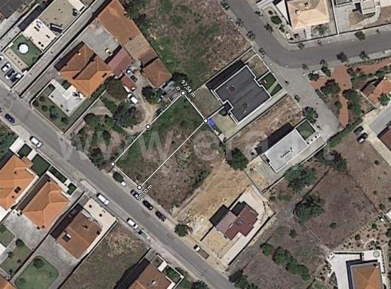 Lote / Cantanhede, Ançã