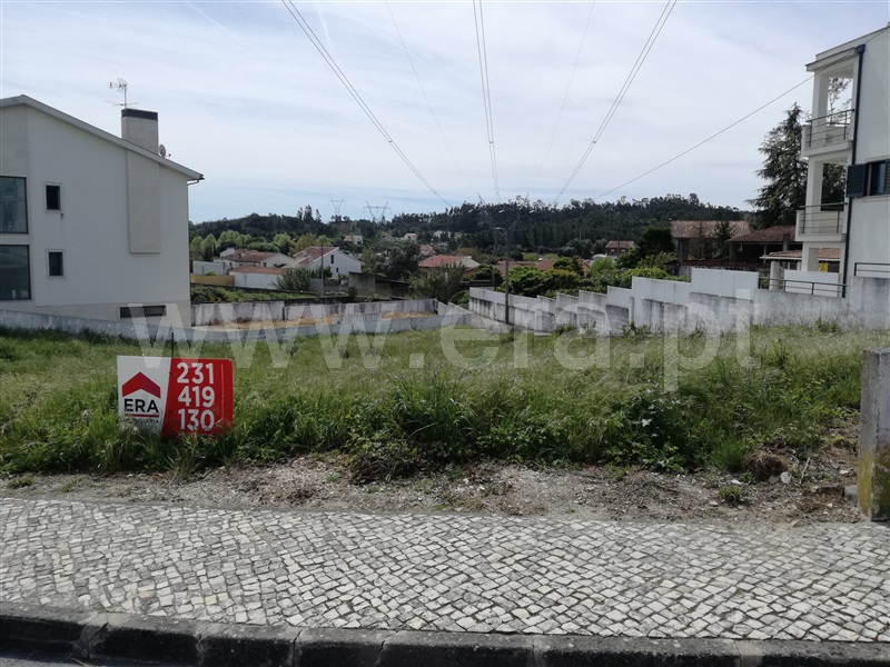Lote / Cantanhede, Ançã