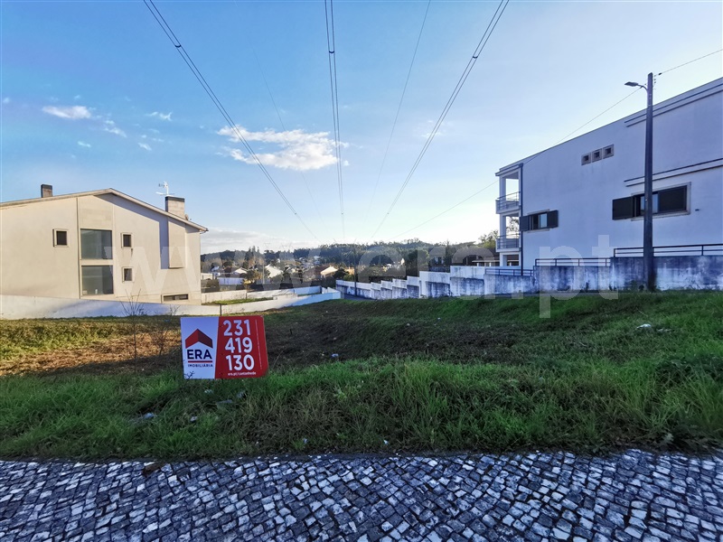 Lote  Cantanhede, Ançã - 89853 - 2