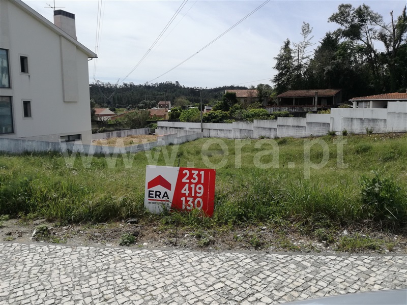 Lote / Cantanhede, Ançã