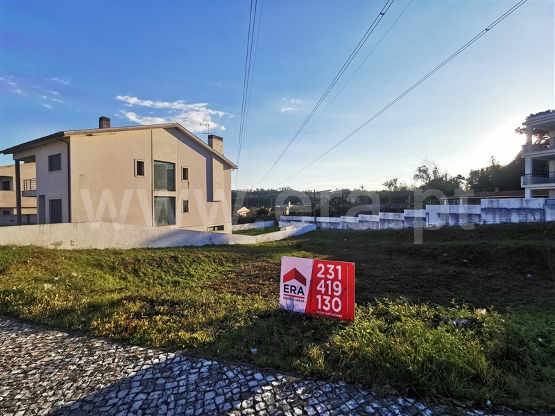 Lote  Cantanhede, Ançã - 89855 - 2